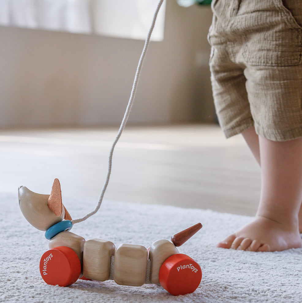 Houten Puppy Trekfiguur duurzaam speelgoed