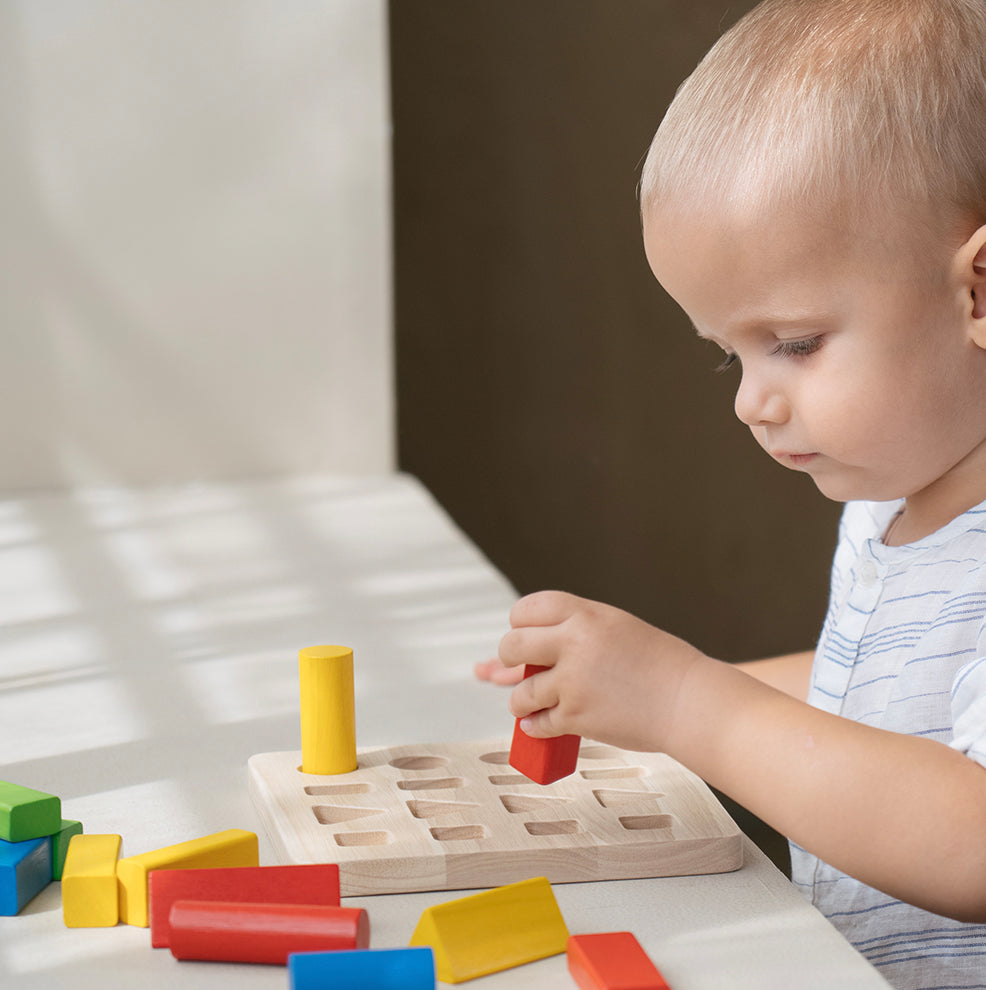 Geometrische Pinnen duurzaam speelgoed